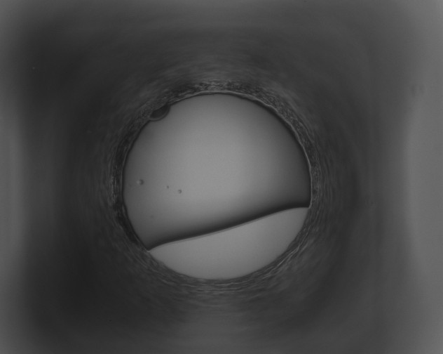 X0000100901253200806241023