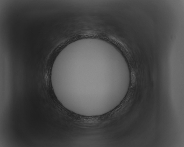 X0000100901254200806241023