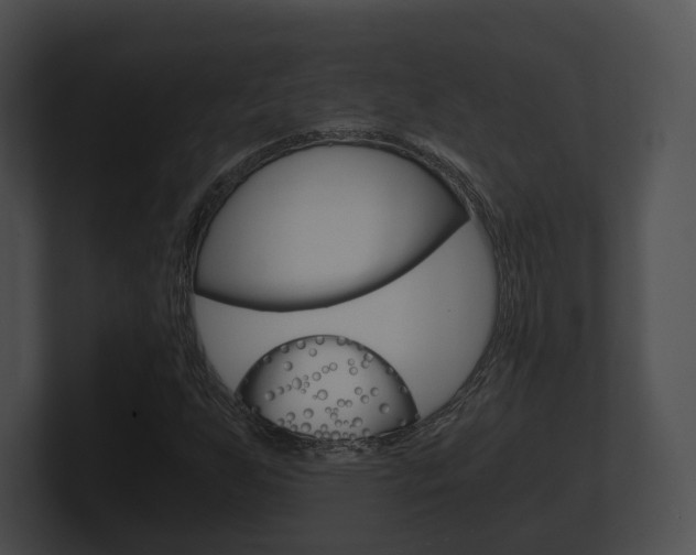 X0000100901255200806241023