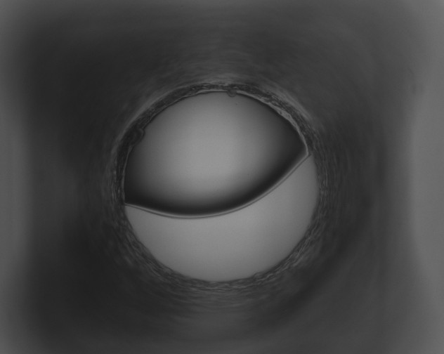 X0000100901256200806241023