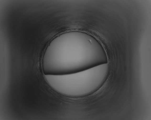 X0000100901257200806241023