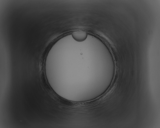 X0000100901259200806241023