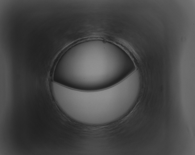 X0000100901260200806241023