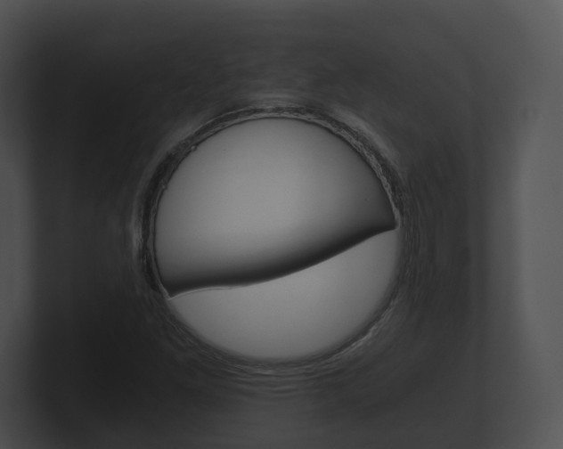 X0000100901261200806241023