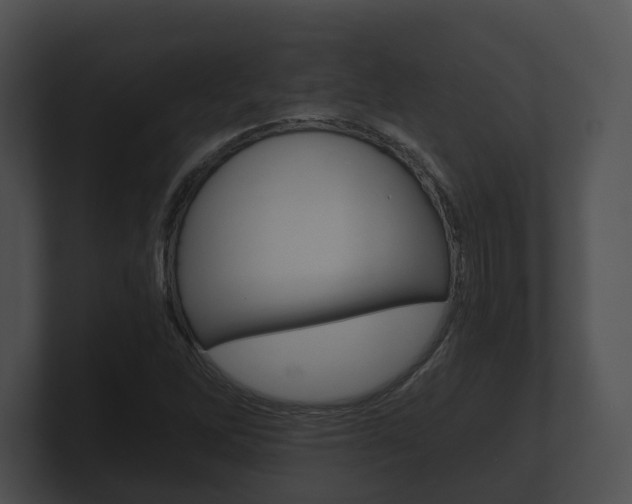 X0000100901262200806241023