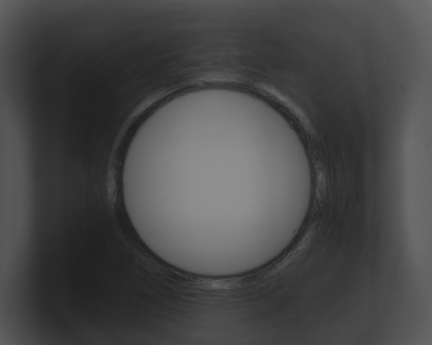 X0000100901266200806241023