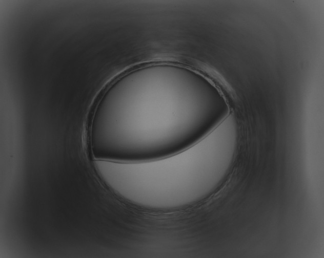 X0000100901268200806241023