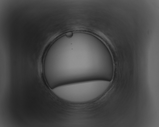 X0000100901269200806241023