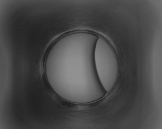 X0000100901271200806241023