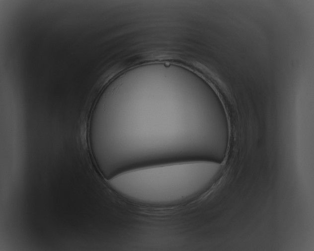 X0000100901273200806241023
