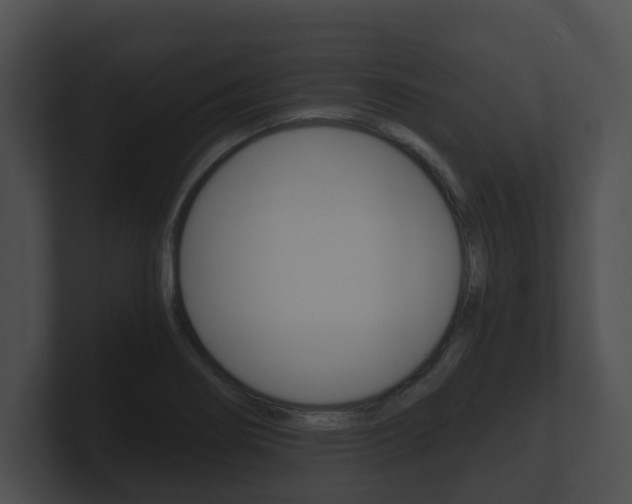 X0000100901274200806241023