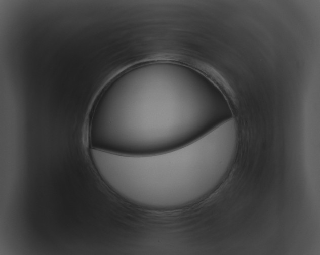 X0000100901276200806241022