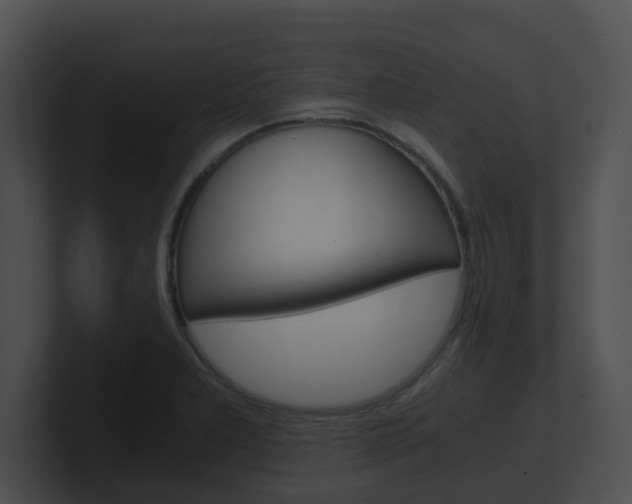 X0000100901277200806241022
