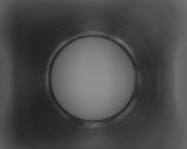 X0000100901278200806241022