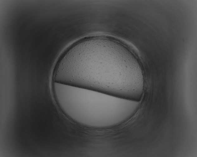 X0000100901279200806241022