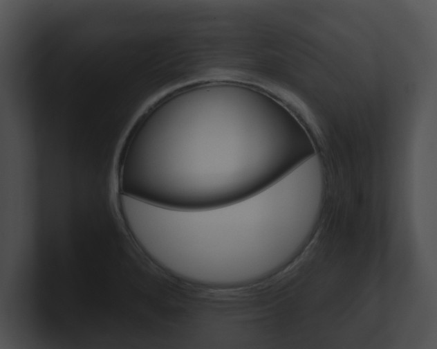 X0000100901280200806241022