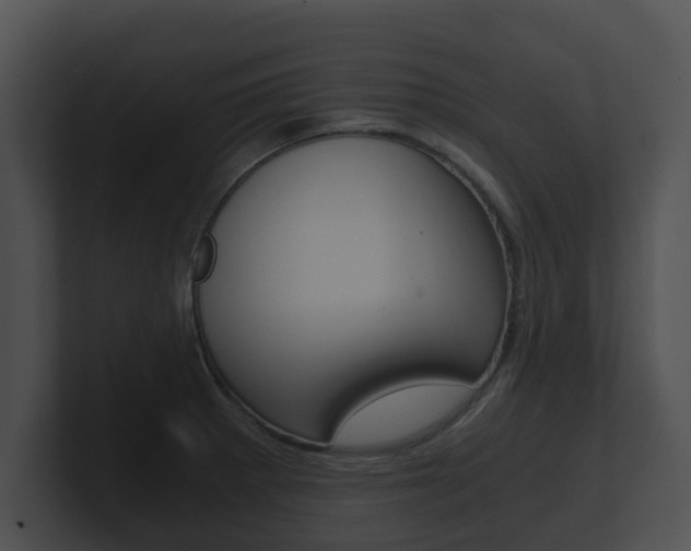 X0000100901281200806241022