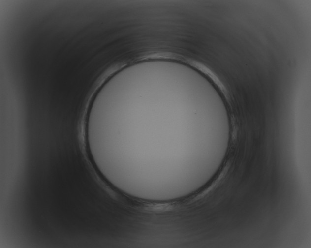 X0000100901282200806241022