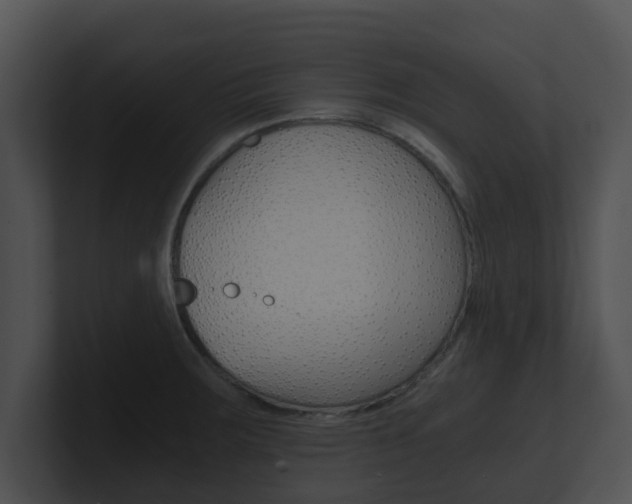 X0000100901283200806241022
