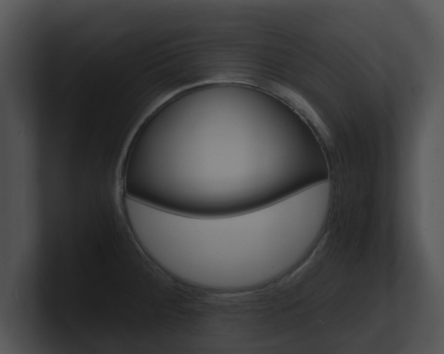 X0000100901284200806241022