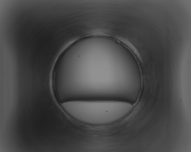 X0000100901285200806241022