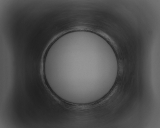 X0000100901286200806241022