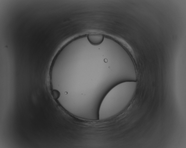 X0000100901287200806241022