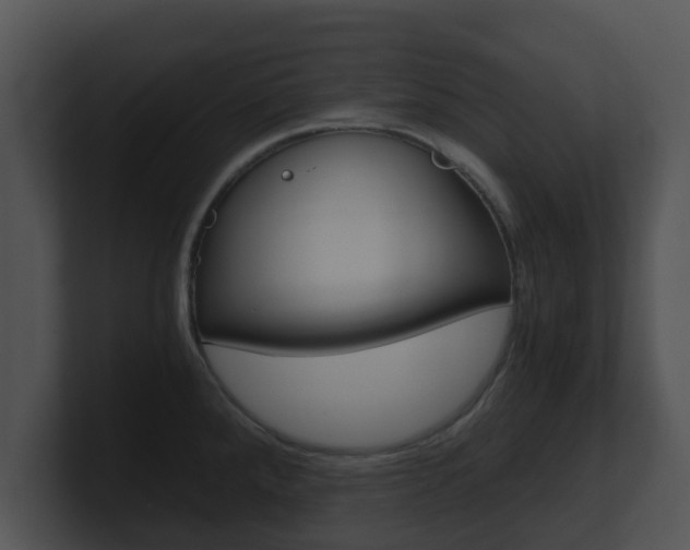 X0000100901288200806241022