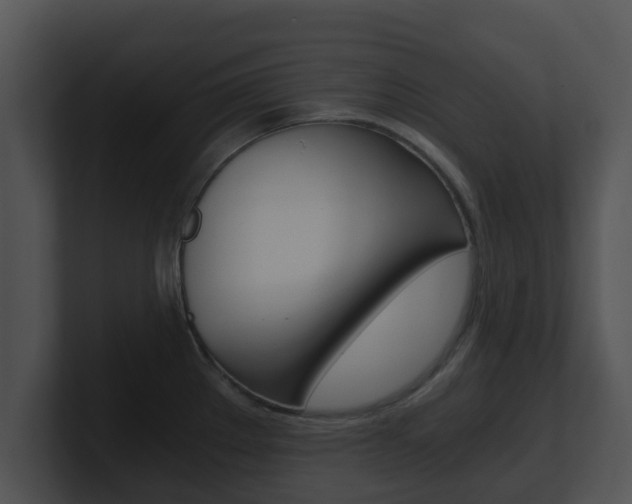 X0000100901289200806241022