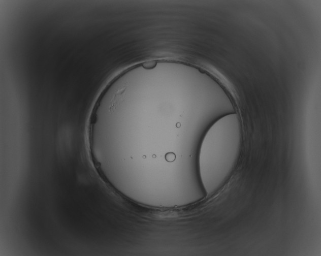 X0000100901291200806241022