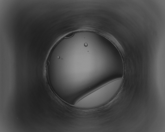 X0000100901292200806241022