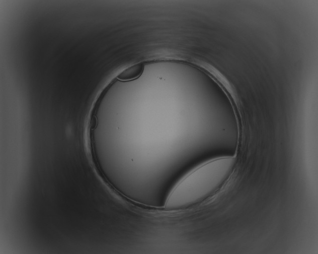 X0000100901293200806241022