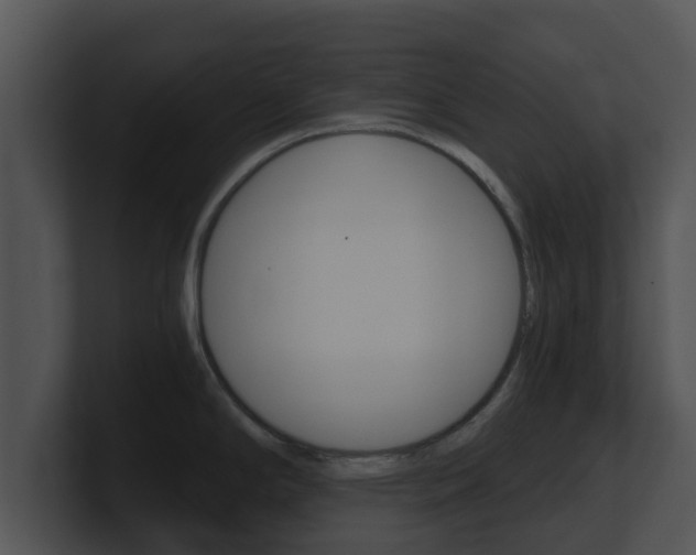X0000100901294200806241022