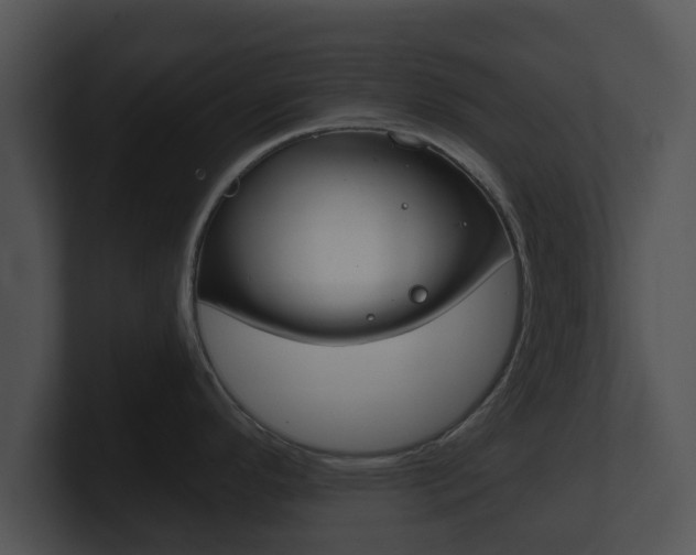 X0000100901296200806241022