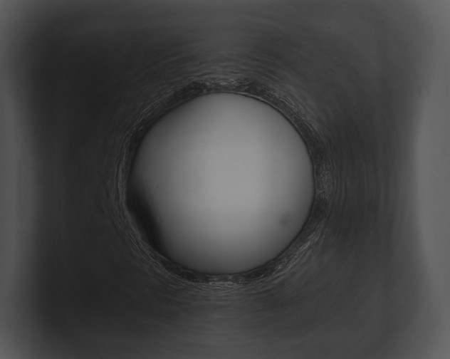 X0000100901297200806241022