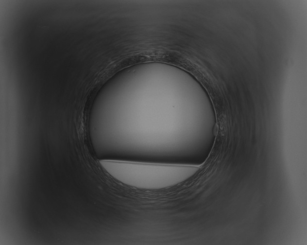 X0000100901298200806241022