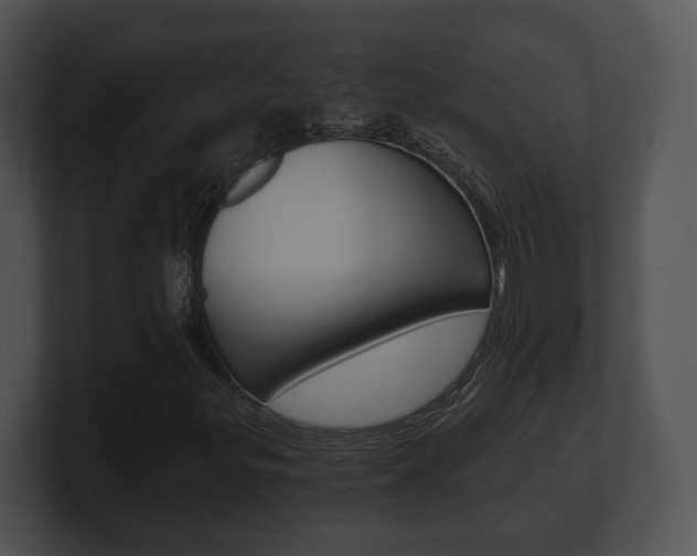 X0000100901299200806241022