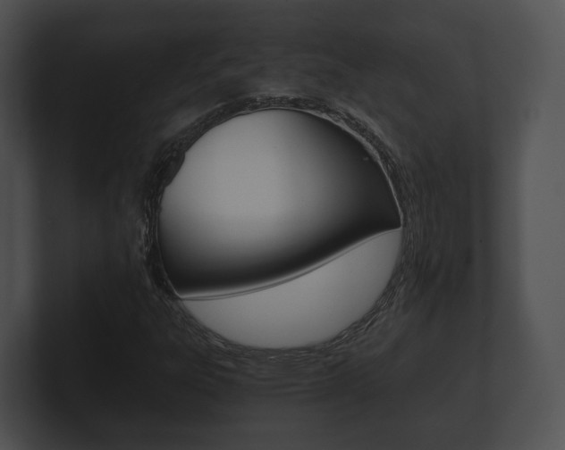 X0000100901303200806241022
