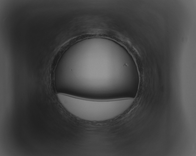 X0000100901304200806241022