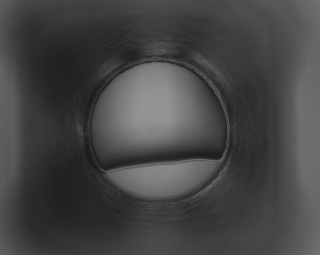 X0000100901305200806241022