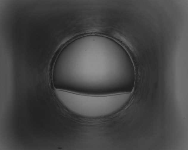 X0000100901308200806241022