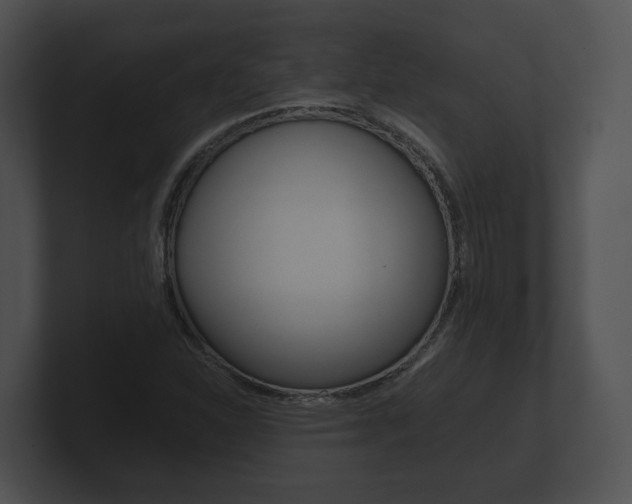 X0000100901310200806241022