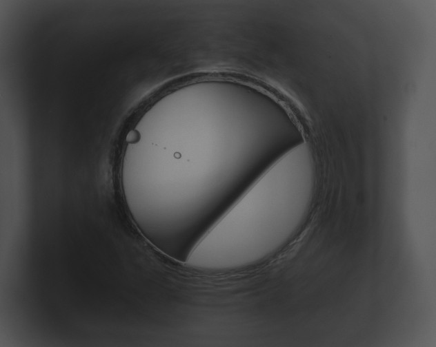 X0000100901311200806241022