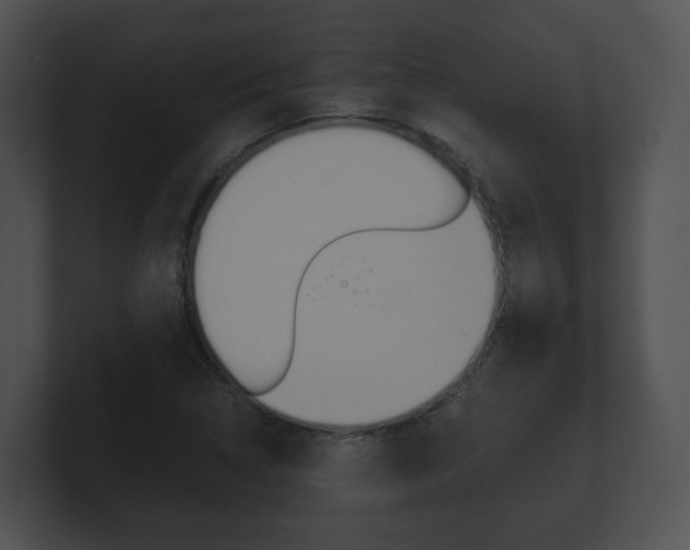 X0000100901314200806241022