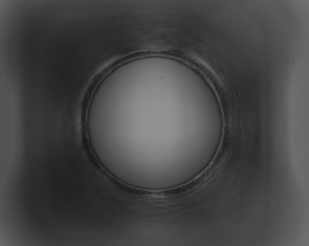 X0000100901315200806241022