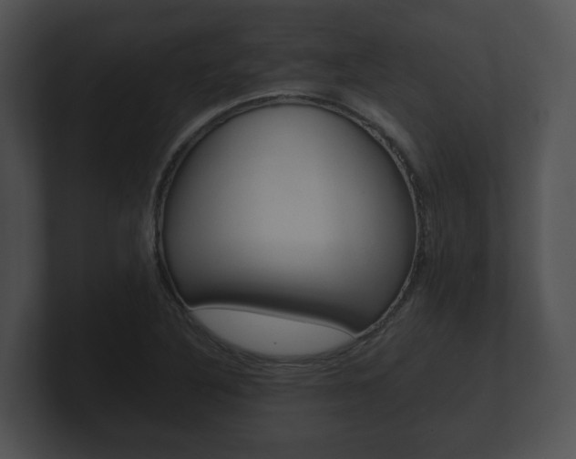X0000100901316200806241022