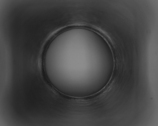 X0000100901319200806241022