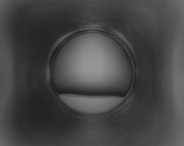 X0000100901320200806241022