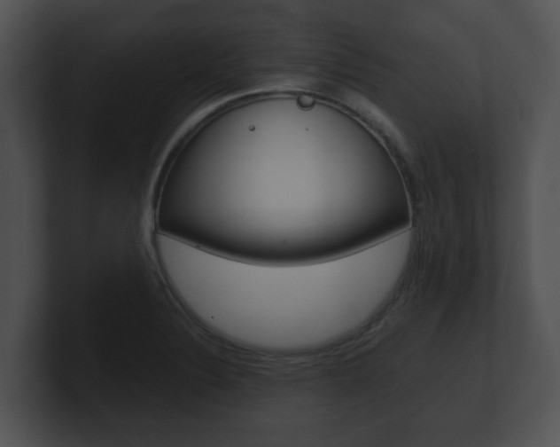 X0000100901324200806241022