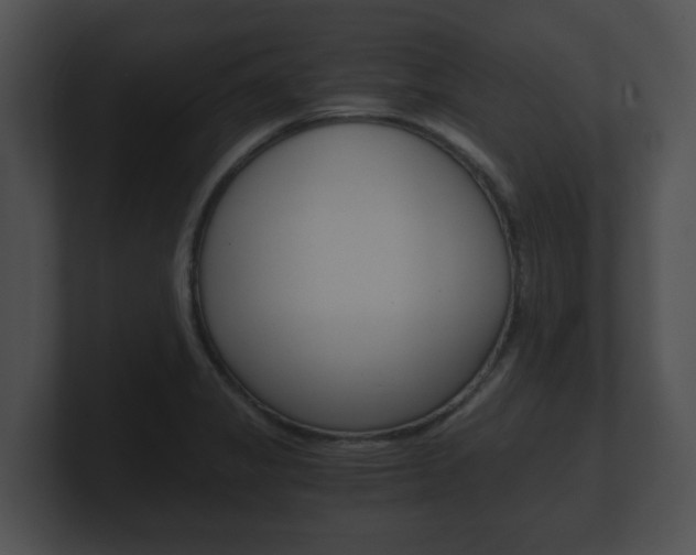 X0000100901325200806241022